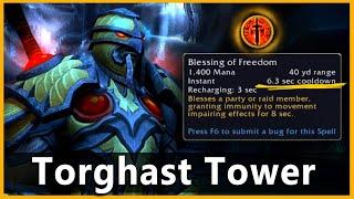 Retribution Paladin Torghast Tower - Commentary Shadowlands