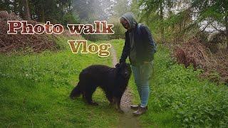 Photo walk Vlog Broak Woods