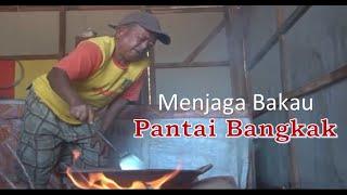 Film Dokumenter - Menjaga Bakau Pantai Bengkak