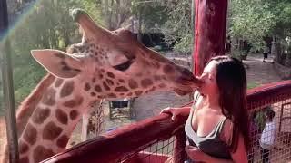 Riya Sen French Kiss in Kenya