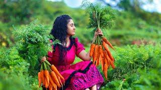 Carrot harvestfor boondi laddu & chicken masala fried rice too..Poorna-The nature girl