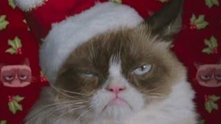 Grumpy Cat starring in Christmas movie