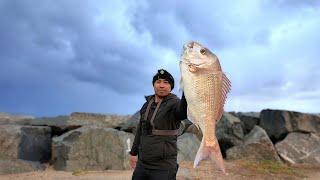 Fishing Challenge North Moles Finest Fish. Fremantle