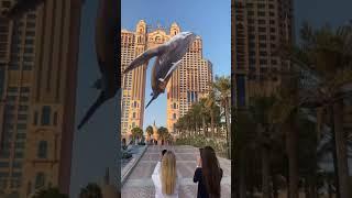 Rixos hotel Marina Abu Dhabi  #travel #uae #arabemirate #shortvideo #dubaivibexplor #gulfcountry