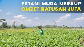 Keren Petani Muda Lulusan Polbangtan Ini Raup Omzet Ratusan Juta Dari Ternak Domba dan Kedelai