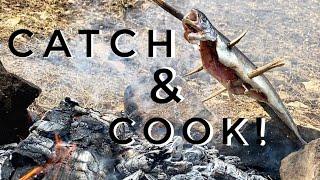 Cooking Trout On A Stick -Catch N Cook