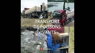 Teaser My Job My Truck EPISODE 11 avec Olivier Splingart