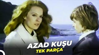 Azad Kuşu  Tarık Akan - Hülya Koçyiğit Eski Türk Filmi Full İzle