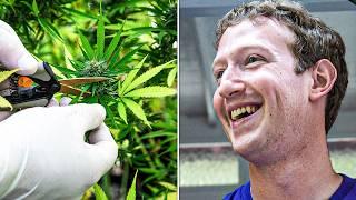 DEA Claims Marijuana As Deadly As Heroin & Zuckerberg Was Driving Force Behind TikTok Ban