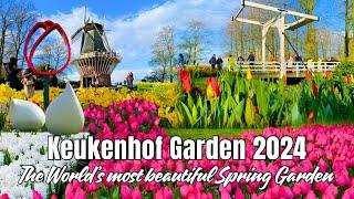  KEUKENHOF GARDEN 2024 - The World’s Most Beautiful Spring Garden of 7 Million Flowers Guided Tour