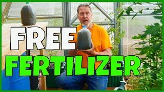 How to Make Organic Fertilizer FOR FREE