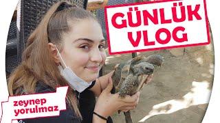 Bir Günlük Vlog Zeynep Yorulmaz