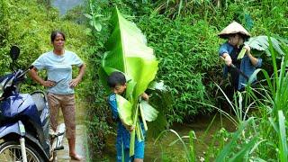 Ly handmade banana cake recipe Tung mother found Ly place  Country Life Vlog Farming