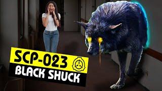 SCP-023  Black Shuck SCP Orientation