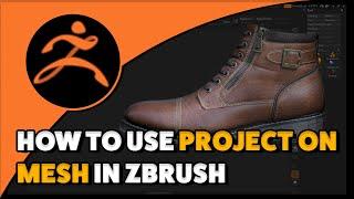 How To Use Project on Mesh in Zbrush