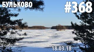 Пробежка на озере Бульково. Следы невиданных зверей в лесу #AlekseyToday 368