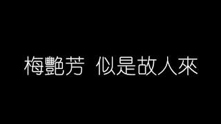 梅艷芳   似是故人來 無損音樂FLAC 歌詞LYRICS 純享