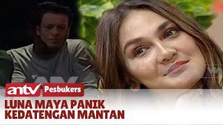 Panik Kedatengan Mantan Buat Luna Maya Jadi Salting  PESBUKERS ANTV