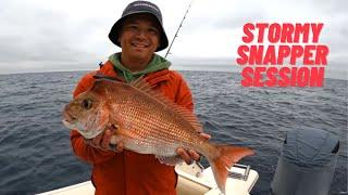 Fishing for Snapper & Pearl Perch Offshore Brisbane