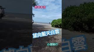 車泊野營 漂流木公園