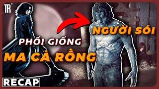 Twilight nhưng nữ chính xinh hơn nhiều  Recap Xàm Underworld 1