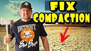Fixing Compaction in Your Lawn Increases Nutrient and Water Uptake
