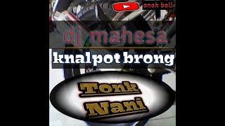 Mahesa buleleng song knlapot brong