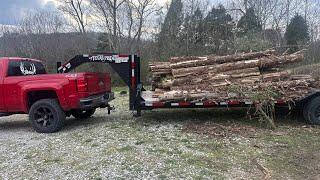 Cedar for Blue Collar works to saw