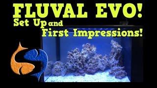 Fluval Evo 13 Gallon Assembly and First Impressions First Reef Tank KGTropicals