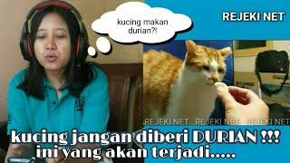 Kucing makan Durian ini reaksinya..