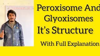 Peroxisomes and Glyoxisomes its structures and functions in class 11