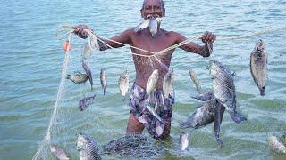 POOL FISH HUNTING  குளத்தில் பிடித்த முரட்டு மீன்கள் CATCHING AND COOKING POND FISH  Traditional