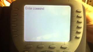 Avaya VoIP setup