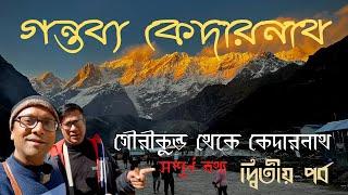 ৯ ঘন্টায় হেঁটে পৌঁছুলাম কেদারনাথ  Sree Kedarnath Yatra hands-on experience  Complete information