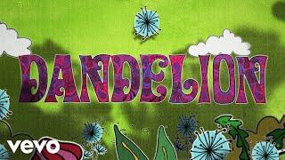 The Rolling Stones - Dandelion Lyric Video