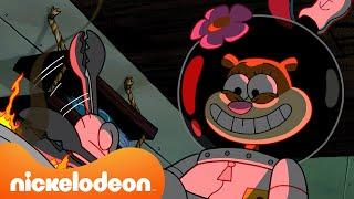 Spongebob  Eksperimen-Eksperimen Makanan Teraneh Sandy  Nickelodeon Bahasa
