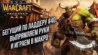 СТРИМ Бегущий по ладдеру в Warcraft 3 и Hardocre варвар в Diablo 4