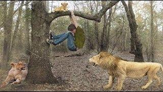 TOP 10 HUMAN ESCAPE DEATH FROM ANIMALS