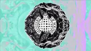 Eats Everything & Shermanology – Tell You What It Is  Ministry of Sound