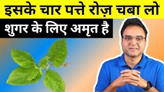Diabetes Control Tips Lower Your Blood Sugar In 90 Days With This Amazing Ayurvedic Herb