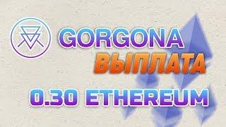 ХАЙП GORGONA.IO ВЫПЛАТА 0.30 ETHEREUM. ОБЗОР ОБНОВЛЕНИЙ GORGONA