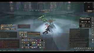 Lineage II Official Naia Server Feoh 117 lvl vs Castillas Labyrinth 130 lvl