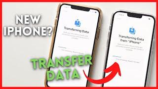 How to Transfer Data From OLD iPhone to NEW iPhone