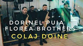 Dorinel Puia Florea Brothers 🟡Colaj Doine Live 2024