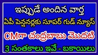 Chandrababus first 3 signatures as CM are super good news for AP pensioners