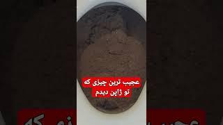 واقعا این عجیب ترین چیزی بود که تو سه سال اخیر دیدم ‌