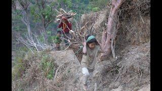 Myvillage official videos EP 945   Cutting and carrying technology of firewood  documentary