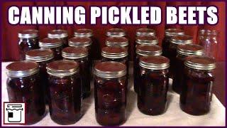 How To Can Pickled Beets  Canning Pickled Beets