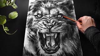 ASMR Drawing a Lion with Charcoal - No Talking