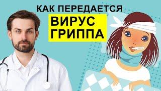 ВИРУС ГРИППА. КАК ПЕРЕДАЕТСЯ ВИРУС ГРИППА? КАК ДОЛГО ЧЕЛОВЕК ЗАРАЗЕН ПРИ ГРИППЕ?